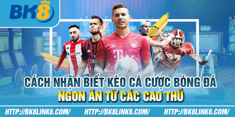 Cách nhận biết kèo cá cược bóng đá ngon ăn từ các cao thủ