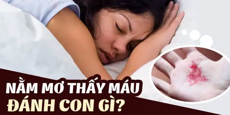 Các con số khi nằm mơ thấy máu chảy ra từ người khác